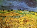 The Fields Vincent van Gogh